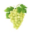 Delicious Grapes