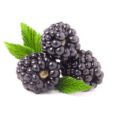 Blackberries