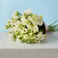 12 White Lisianthus